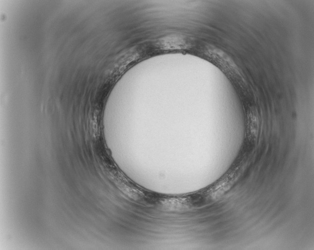 X0000059850422200511111816