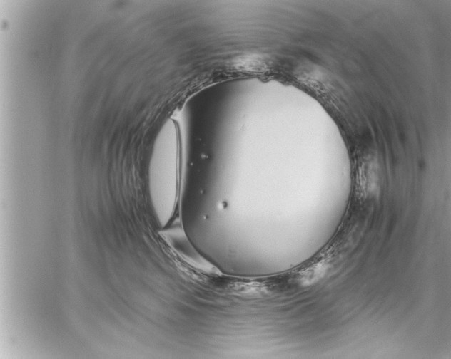 X0000059850424200511111816