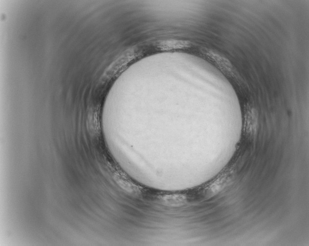 X0000059850426200511111816