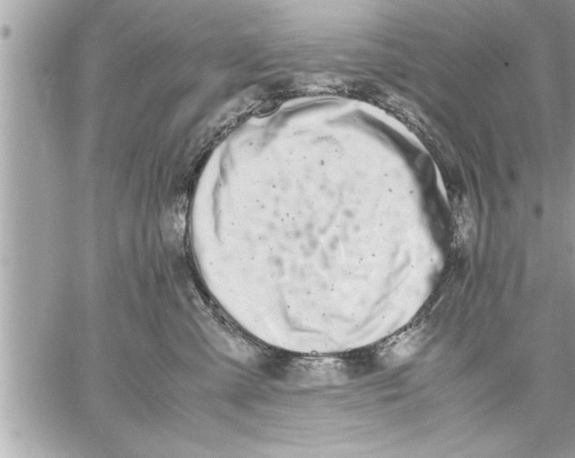 X0000059850427200511111816