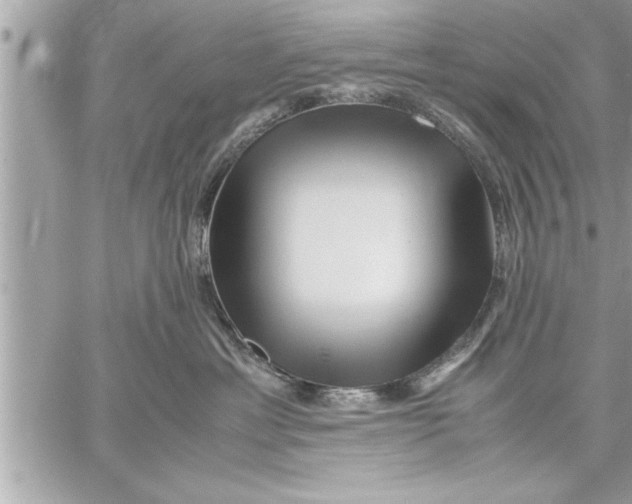 X0000059850429200511111816