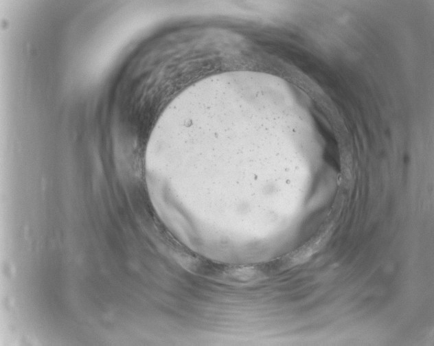 X0000059850431200511111816