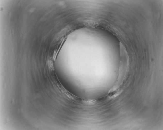 X0000059850432200511111816