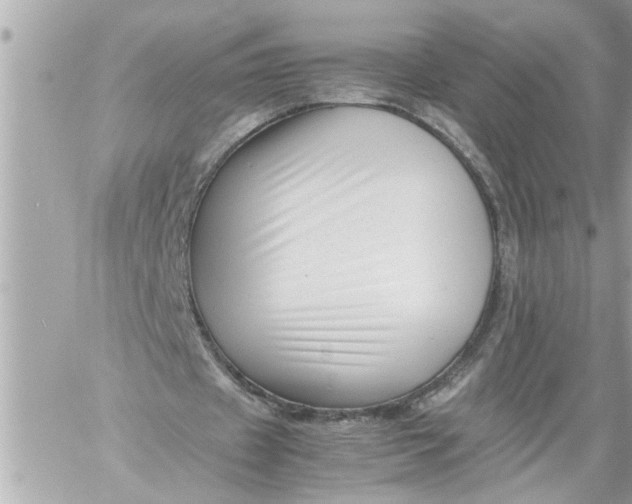 X0000059850433200511111815