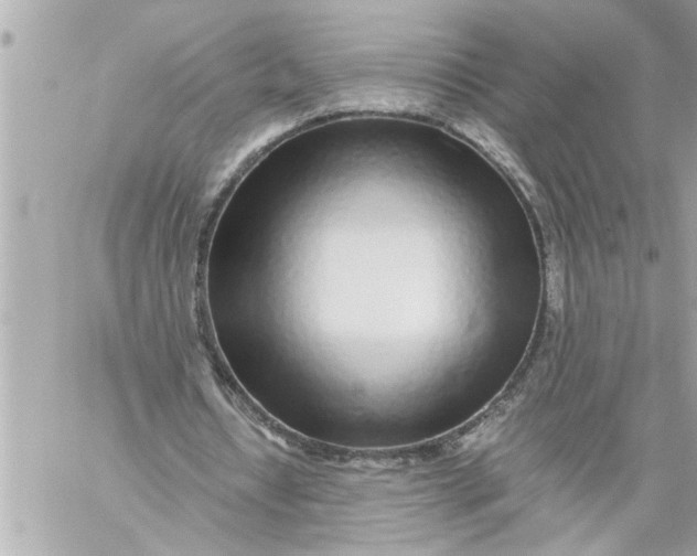 X0000059850434200511111815