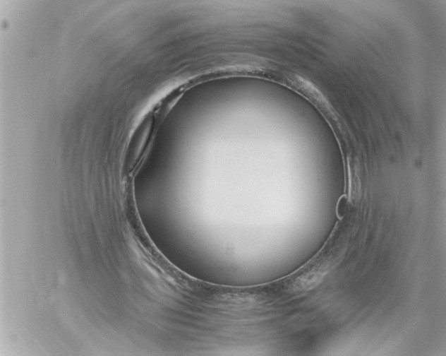 X0000059850435200511111815