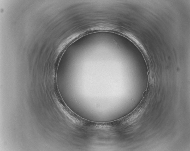 X0000059850437200511111815