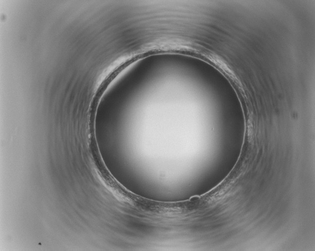 X0000059850438200511111815