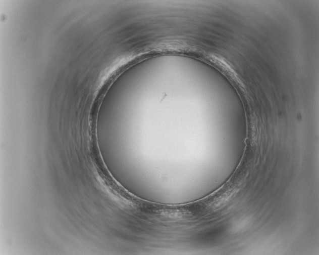 X0000059850439200511111815