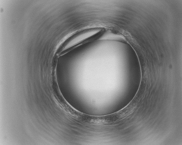 X0000059850440200511111815