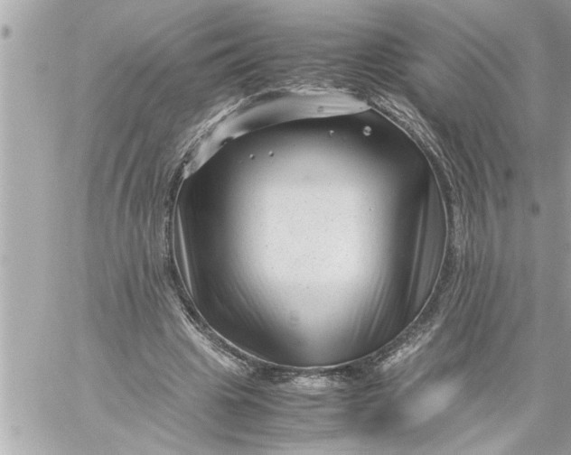 X0000059850441200511111815