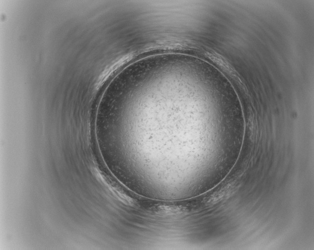 X0000059850442200511111815