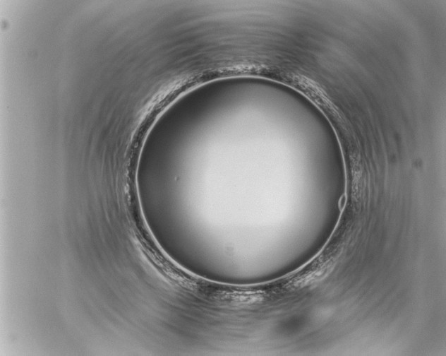 X0000059850443200511111815