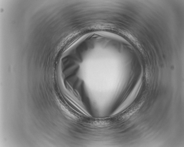 X0000059850445200511111815