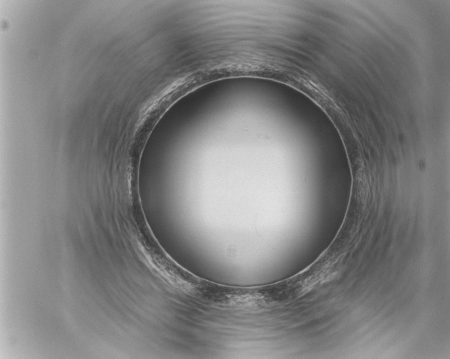 X0000059850446200511111815