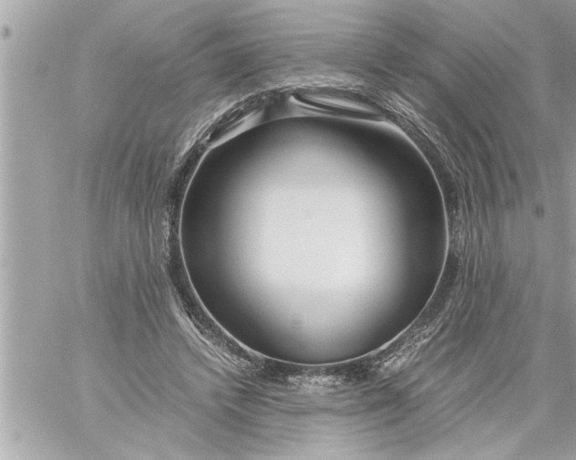 X0000059850448200511111815