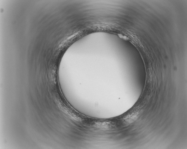 X0000059850450200511111815