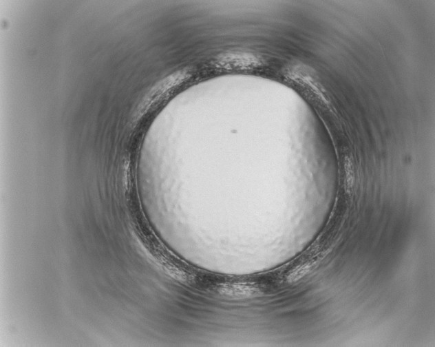 X0000059850451200511111815