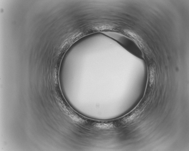 X0000059850453200511111815