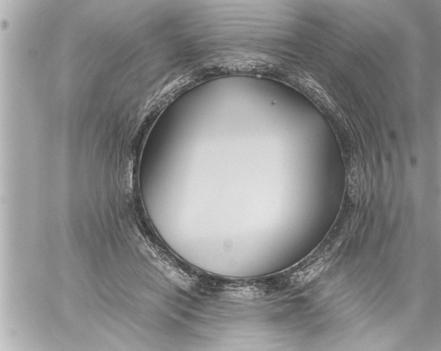 X0000059850454200511111815