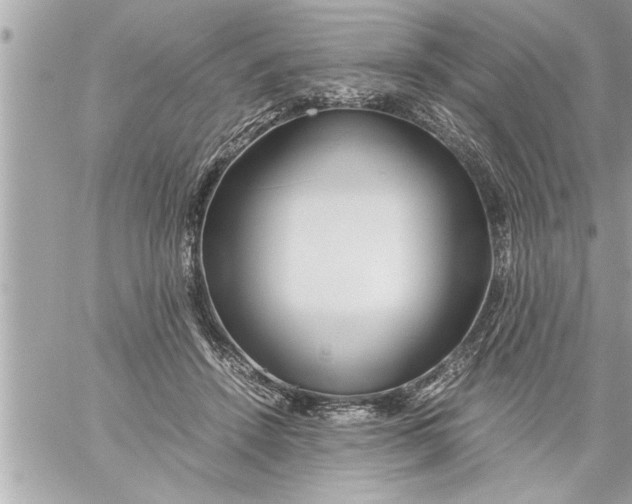 X0000059850456200511111815