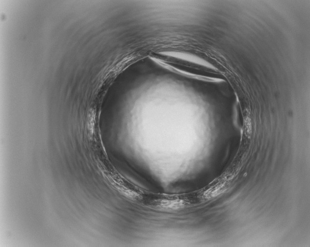 X0000059850458200511111815