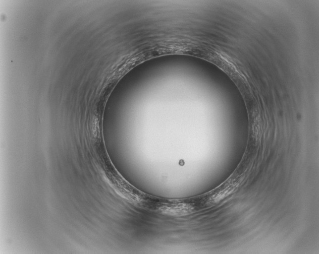 X0000059850459200511111815