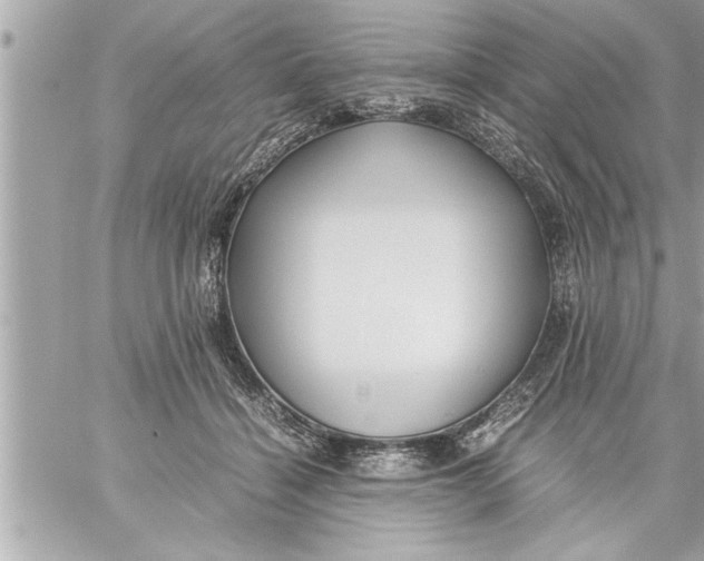 X0000059850460200511111815