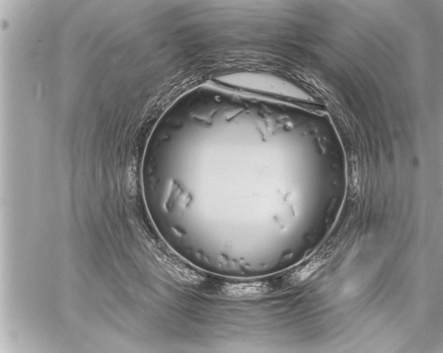 X0000059850461200511111815