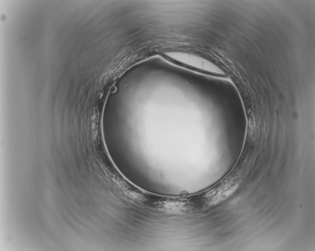 X0000059850462200511111815