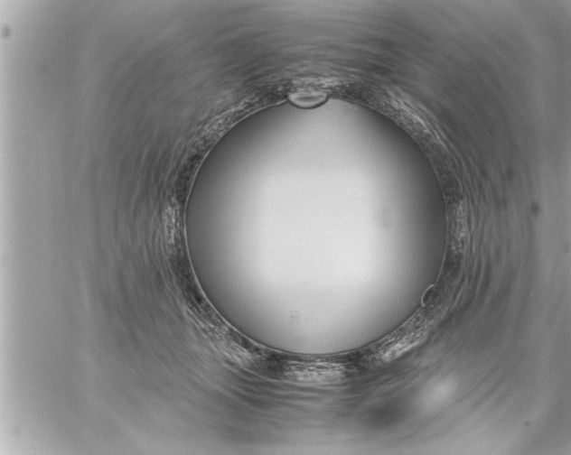 X0000059850463200511111815