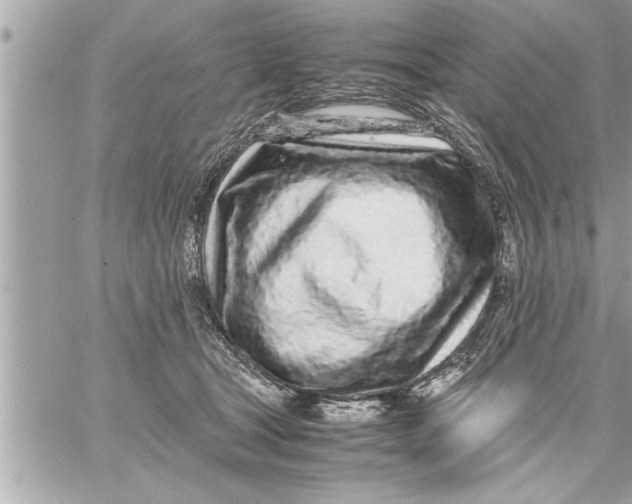 X0000059850465200511111815