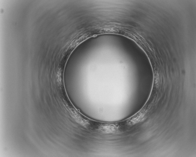 X0000059850466200511111815