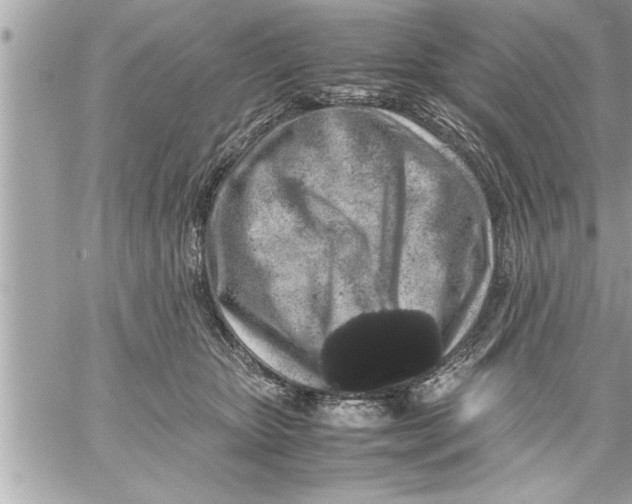 X0000059850467200511111815