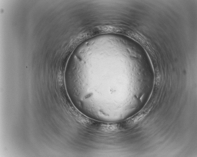 X0000059850469200511111815