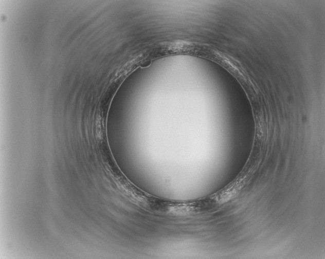 X0000059850470200511111816