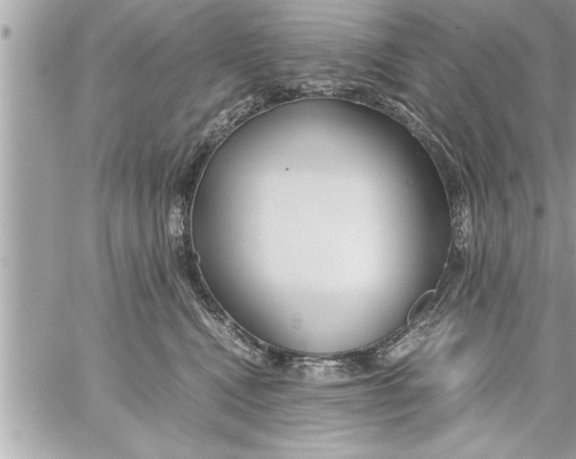 X0000059850472200511111816