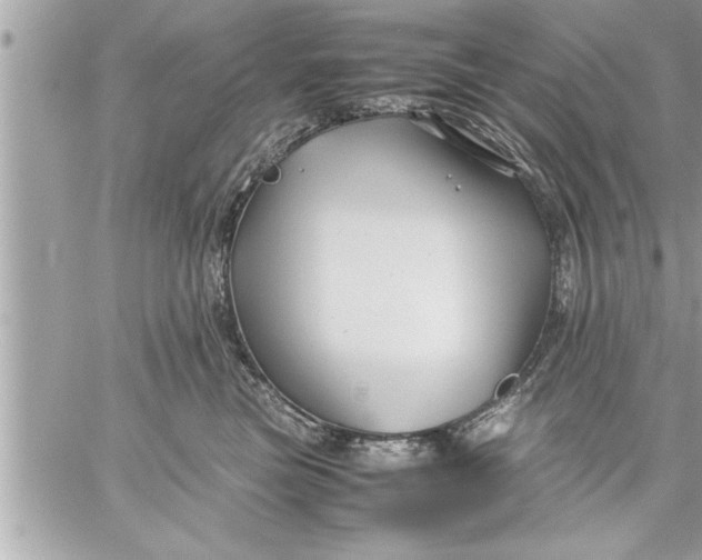 X0000059850473200511111816