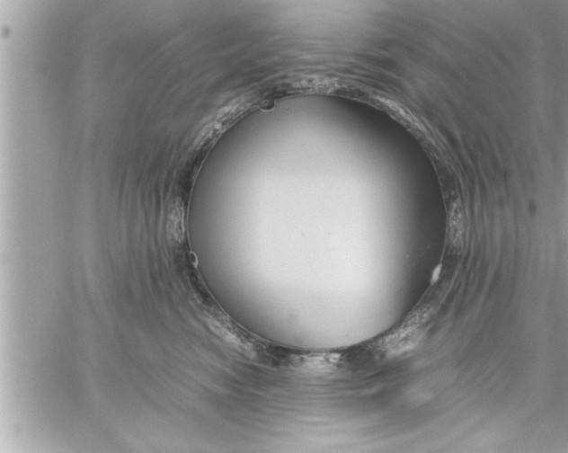 X0000059850474200511111816