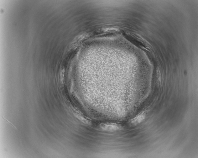 X0000059850475200511111816