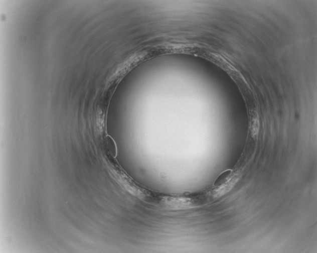 X0000059850476200511111816