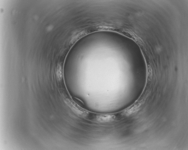 X0000059850479200511111816