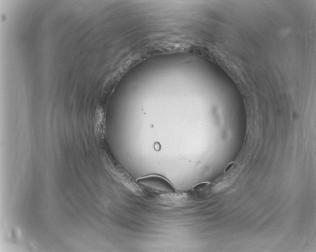 X0000059850480200511111816