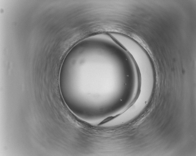 X0000059850481200511111815