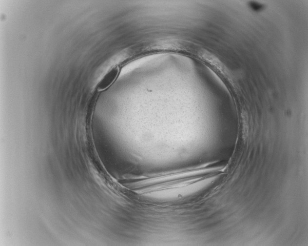 X0000059850482200511111815