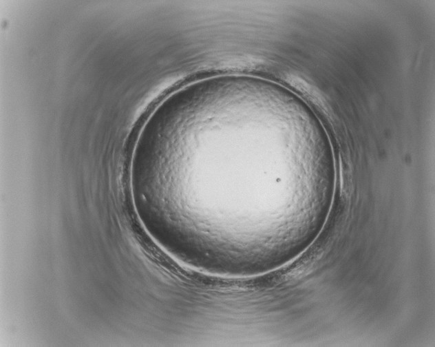 X0000059850483200511111815