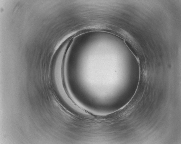 X0000059850484200511111815