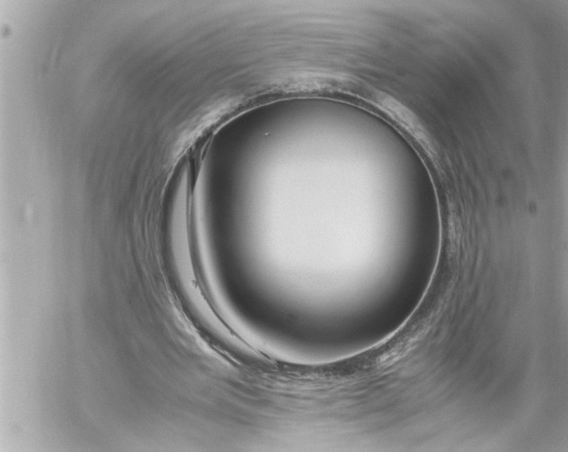 X0000059850485200511111815