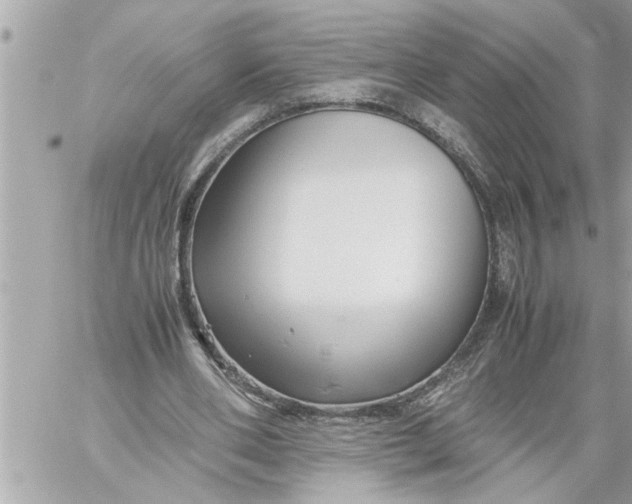 X0000059850486200511111815