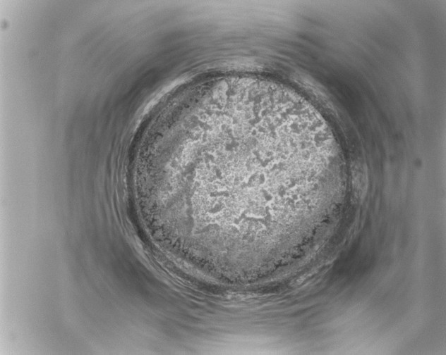 X0000059850487200511111815